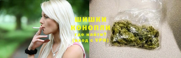 ГАЛЛЮЦИНОГЕННЫЕ ГРИБЫ Ладушкин