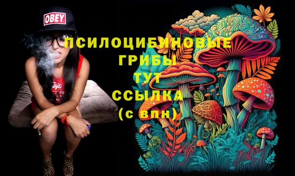 ГАЛЛЮЦИНОГЕННЫЕ ГРИБЫ Ладушкин