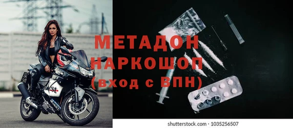 ПСИЛОЦИБИНОВЫЕ ГРИБЫ Гусь-Хрустальный