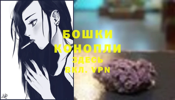 ПСИЛОЦИБИНОВЫЕ ГРИБЫ Гусь-Хрустальный